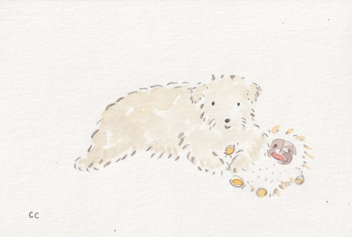 ちえちひろ似顔絵オーダー | ハーハフー
